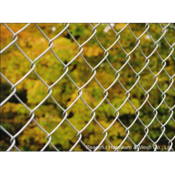 Fabricante PVC revestido Diamond Wire Mesh Fence (CLF004)
